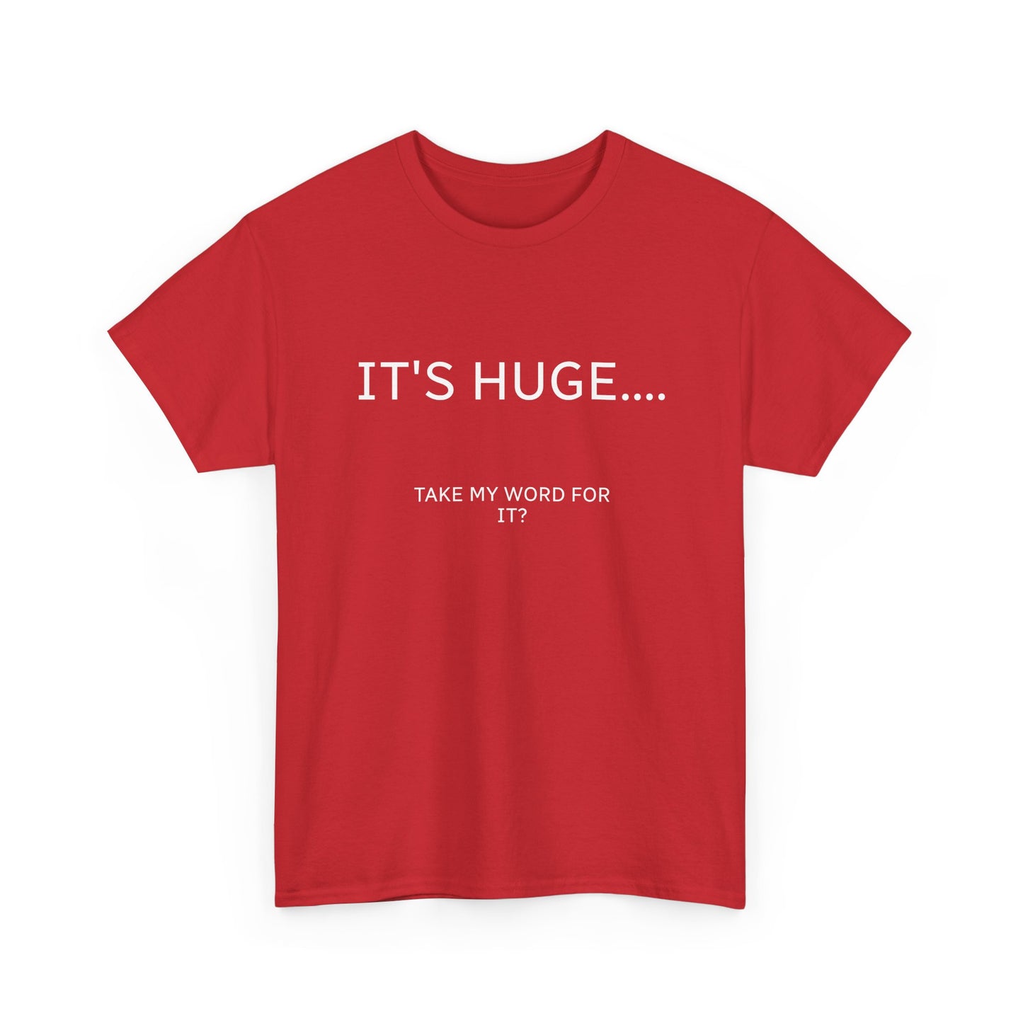Graphic Tee — "IT'S HUGE.... TAKE MY WORD FOR IT?" Minimalist Funny Shirt