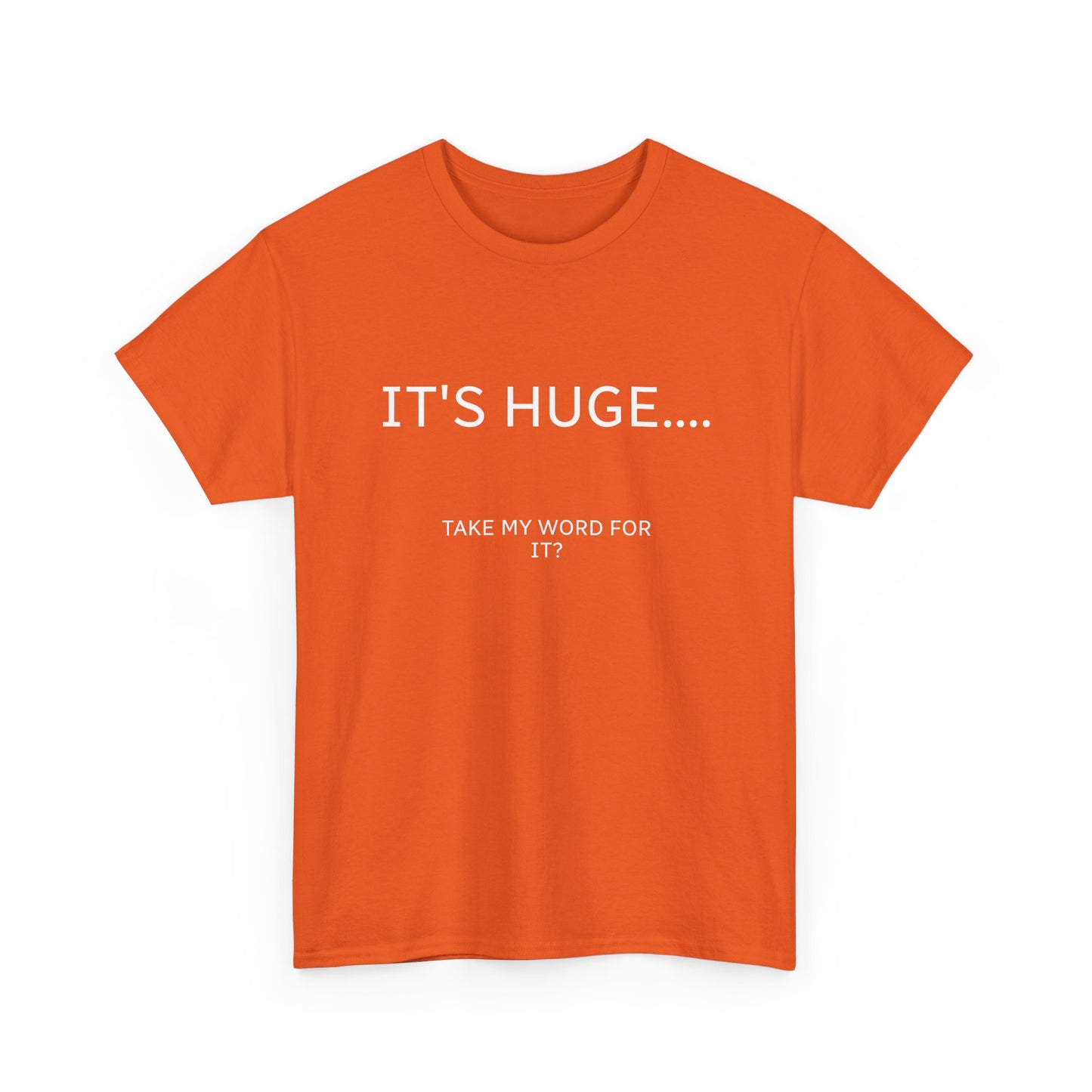 Graphic Tee — "IT'S HUGE.... TAKE MY WORD FOR IT?" Minimalist Funny Shirt